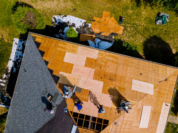 Best Metal Roofing Contractor  in Morris, AL
